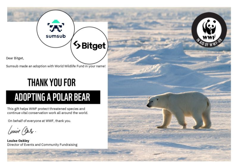 Bitget & Sumsub Đồng Hành Cùng WWF Bảo Tồn Gấu Bắc Cực – Hành Động Nhỏ, Ý Nghĩa Lớn