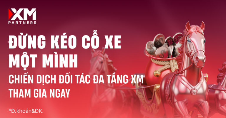 Đừng làm IB một mình – Xây dựng hệ thống đa tầng bền vững cùng XM
